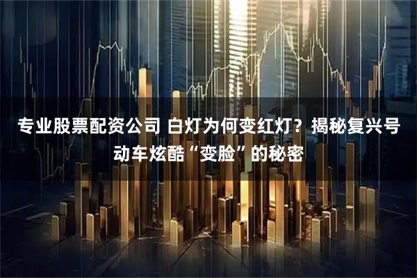 专业股票配资公司 白灯为何变红灯？揭秘复兴号动车炫酷“变脸”的秘密