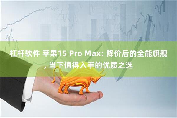 杠杆软件 苹果15 Pro Max: 降价后的全能旗舰, 当下值得入手的优质之选