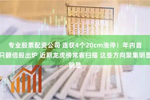 专业股票配资公司 连获4个20cm涨停！年内首只翻倍股出炉 近期龙虎榜常客扫描 这些方向聚集明显